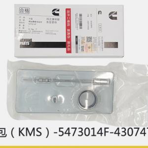 Cummins Series Valve Module - Maintenance Package 