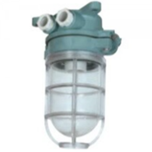 Marine Parts Supplier Working Light Model DS7-2M Power 60W Voltage 220V Lamp Holder FE26 Can Be Customized