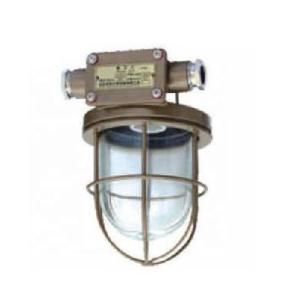 The Most Hot Products ,Marine Light CCD9-5/CCD9-5A Incandescent Pendant Light, the Series of Incandescent Light for Boat